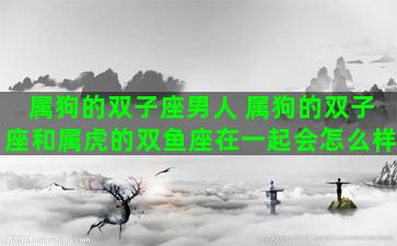 属狗的双子座男人 属狗的双子座和属虎的双鱼座在一起会怎么样